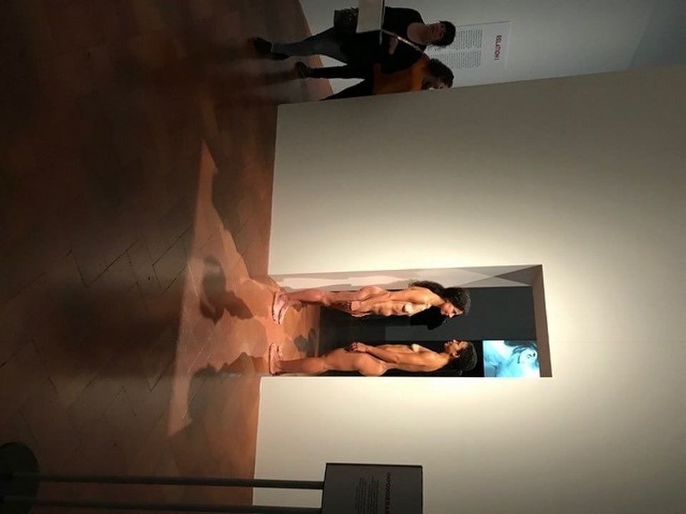 naked in a museum #105772003