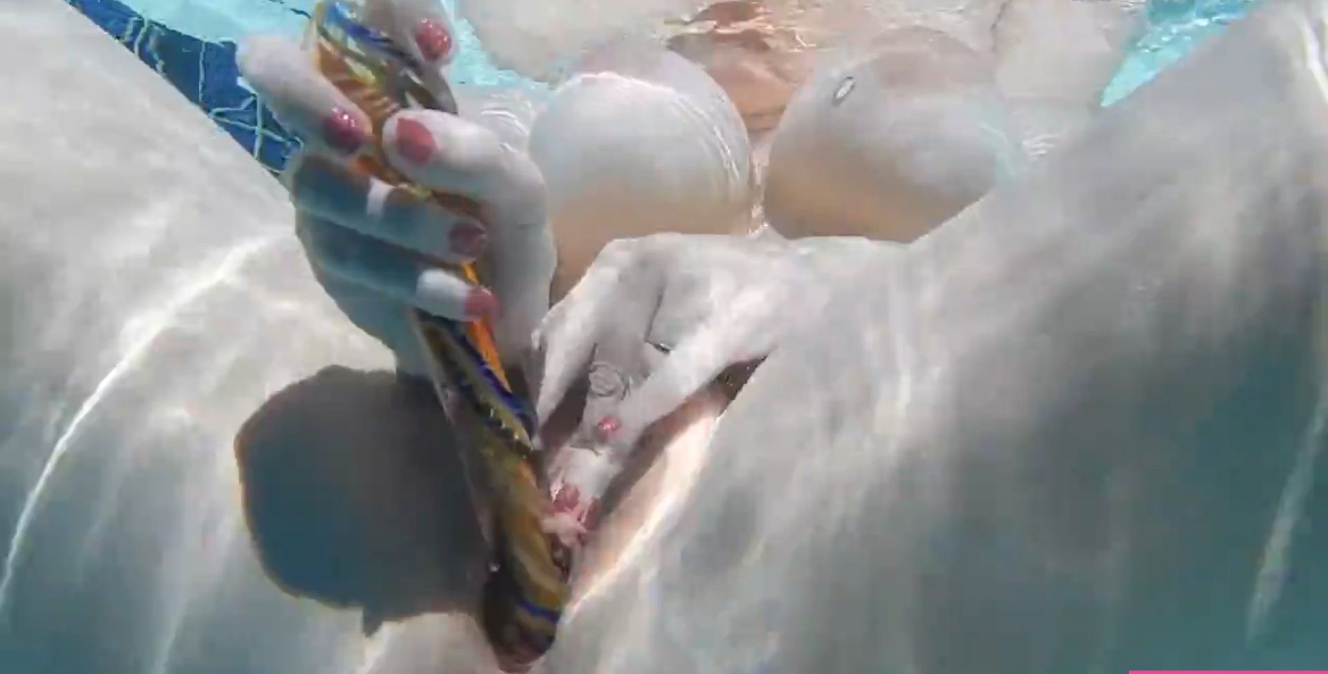 AmberCutie desnuda #109334840