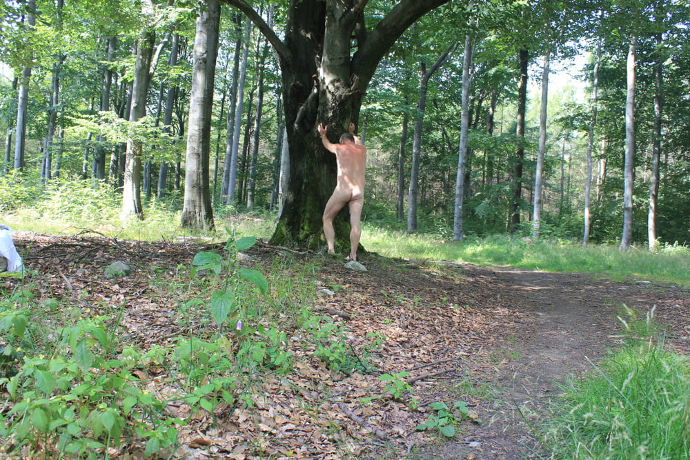 私の250回目のギャラリー
 #92647018