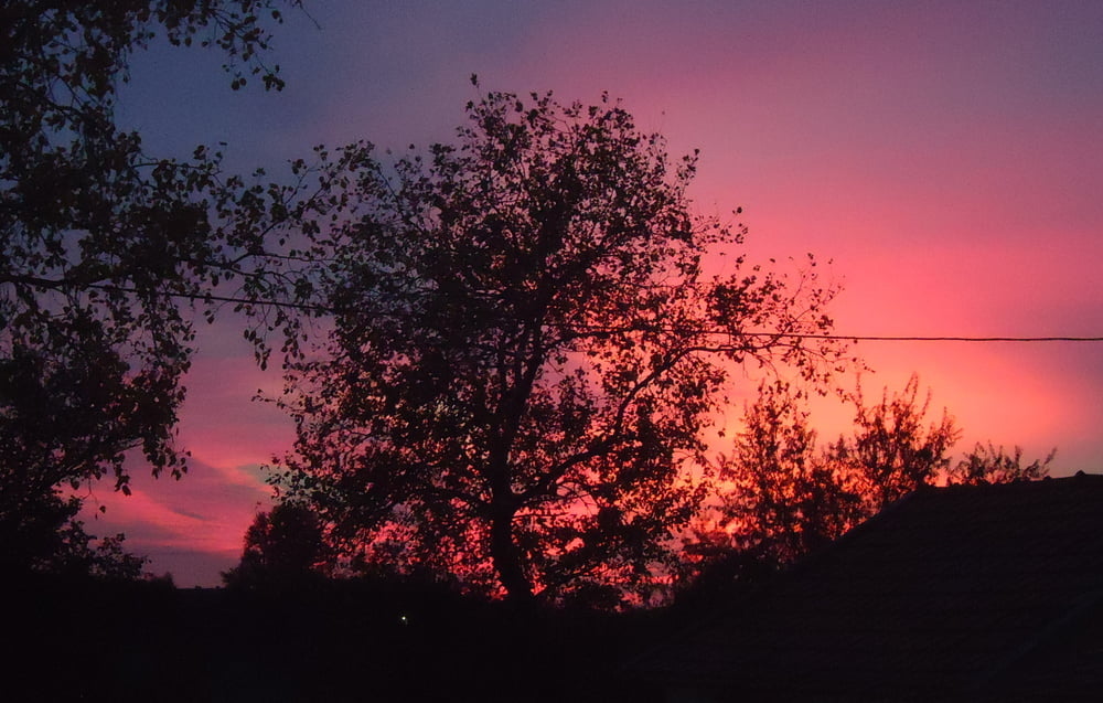 私の250回目のギャラリー
 #92647056