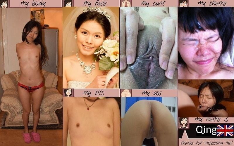 Asian inspection collage #91071035