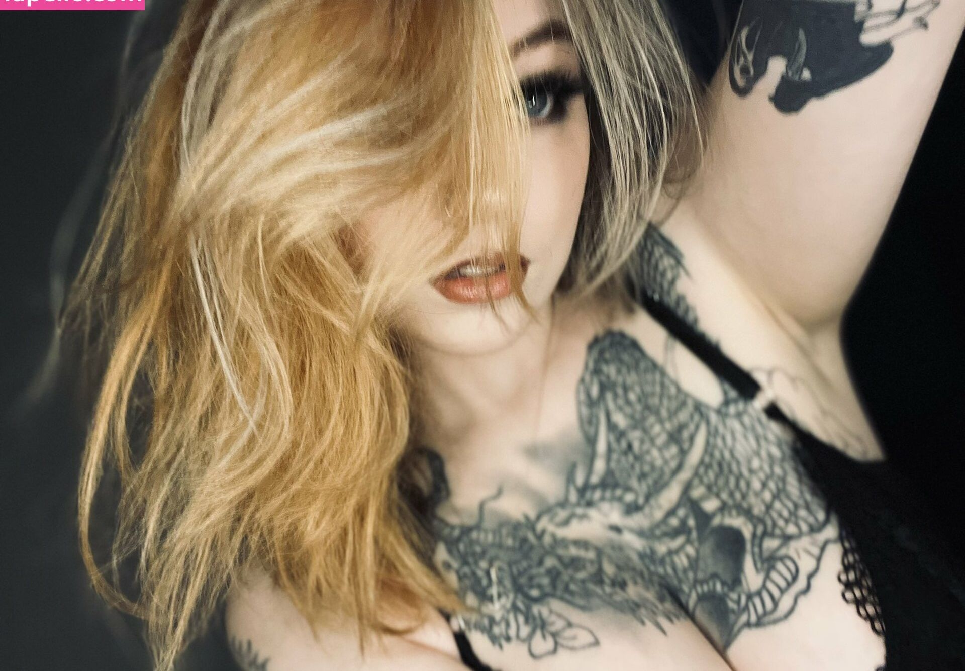 Alleykat421 desnuda #108021203
