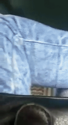 ¡¡¡Miami public transit going to dolphin mall !!!
 #88081661