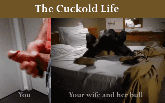 Cuckold Hotwife captions #91014772