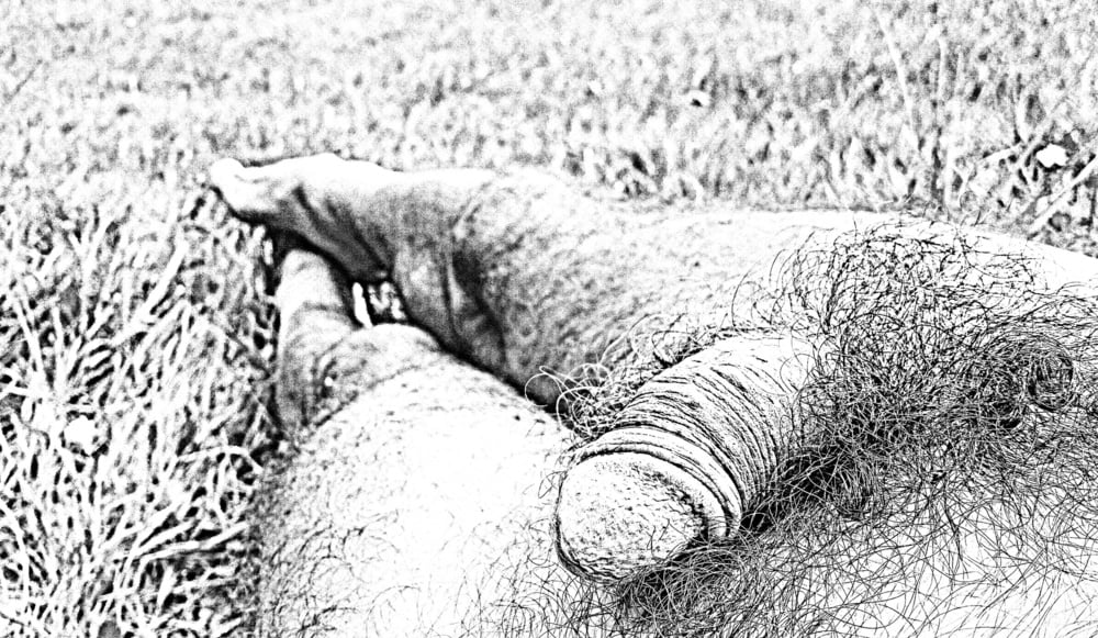 Handicap
 #105317643