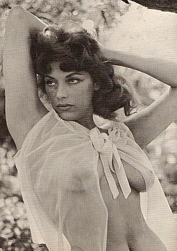 Dolores Reed, vintage model and actress #105349003