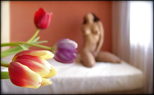 Flores ii
 #94352747