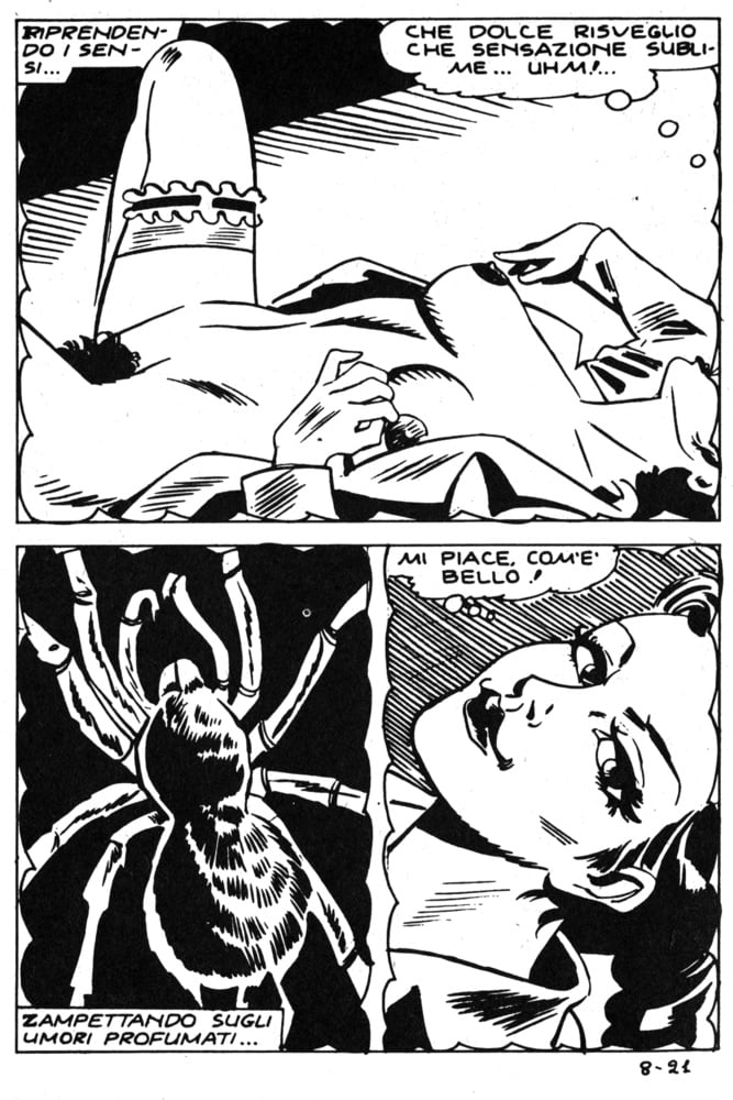 Donna Ragna (Spider Woman) #99359951