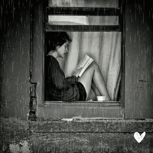 Imágenes en movimiento por gentletop
 #91267894