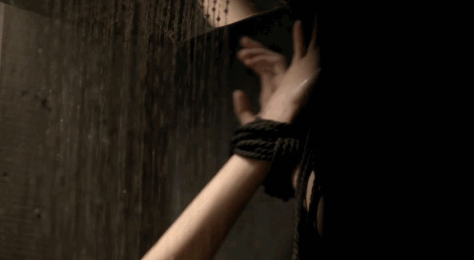 Imágenes en movimiento por gentletop
 #91267915