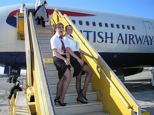 air stewardess oopps stockings #88047521