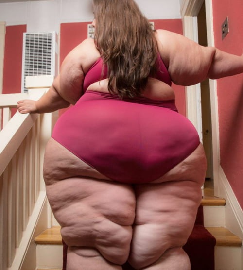 Gordas desesperadas #98765342