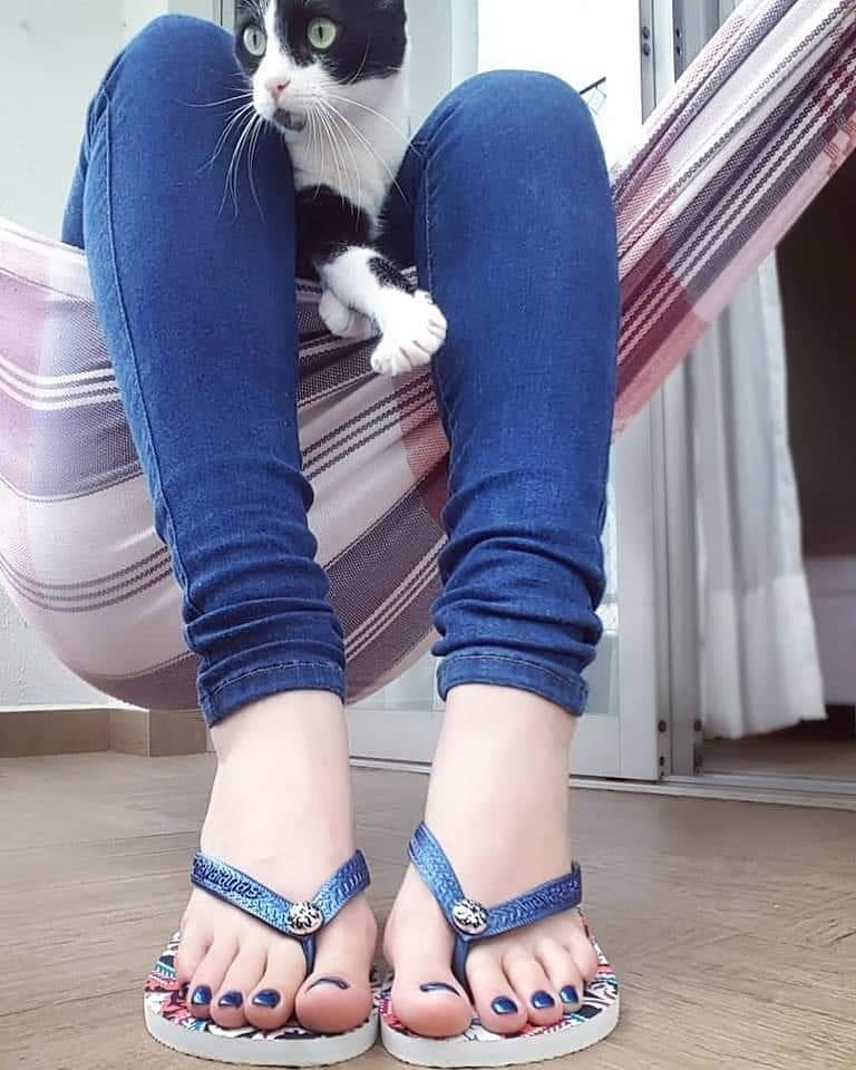 Tanto por hacer
 #89168664