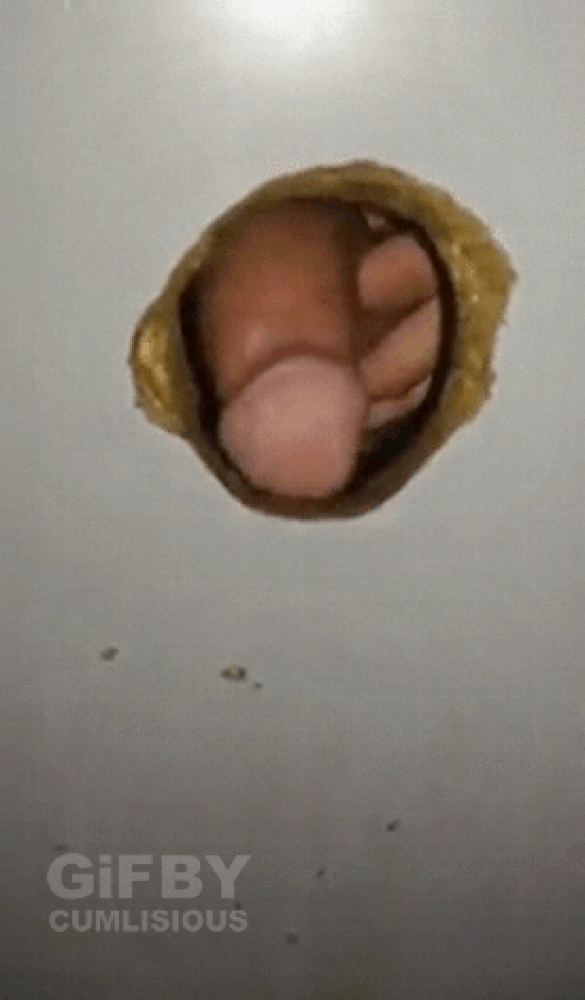 Assortment of the goods #87812497