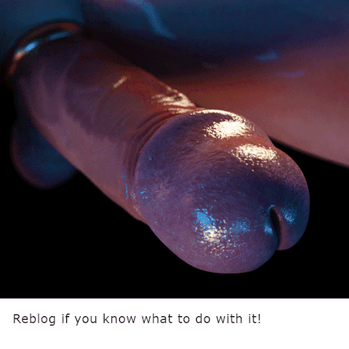 Surtido de la mercancía
 #87812571