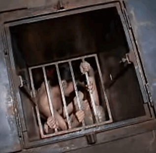Cóctel diversión dolor tortura femdom humillación jaula de castidad
 #102884364
