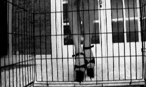 Cóctel diversión dolor tortura femdom humillación jaula de castidad
 #102885852