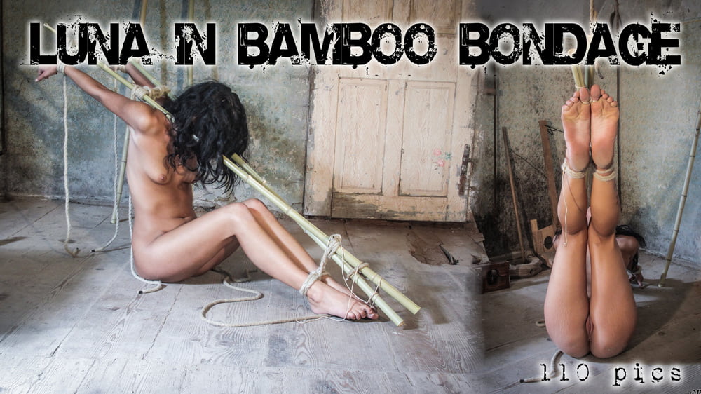 Bambú bondage
 #93165280
