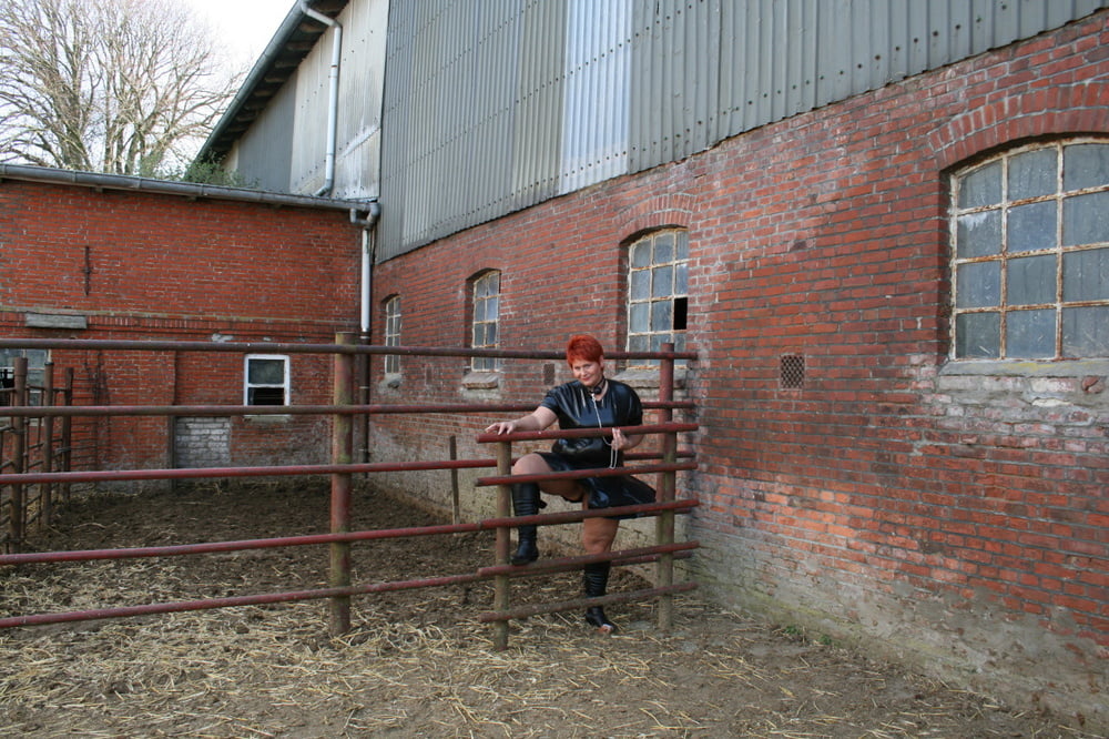 In latex at the cattle gate #106612836