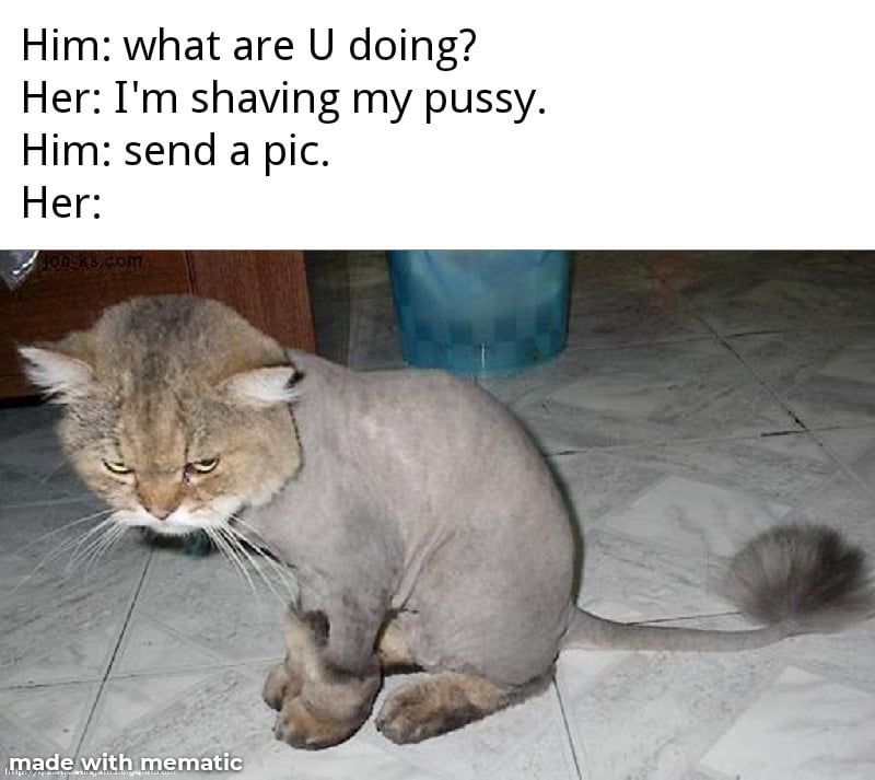 Funstuff and Memes #100989419