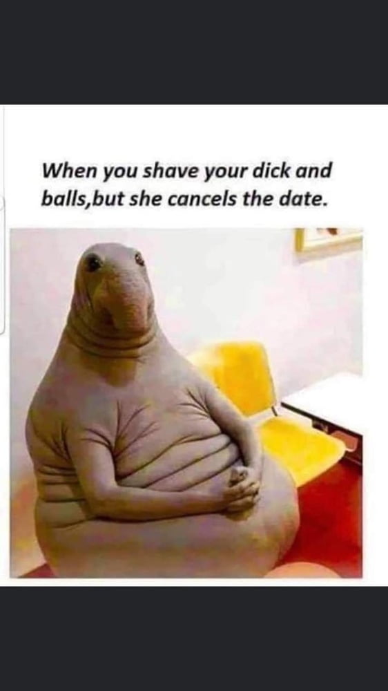 Funstuff and Memes #100989551