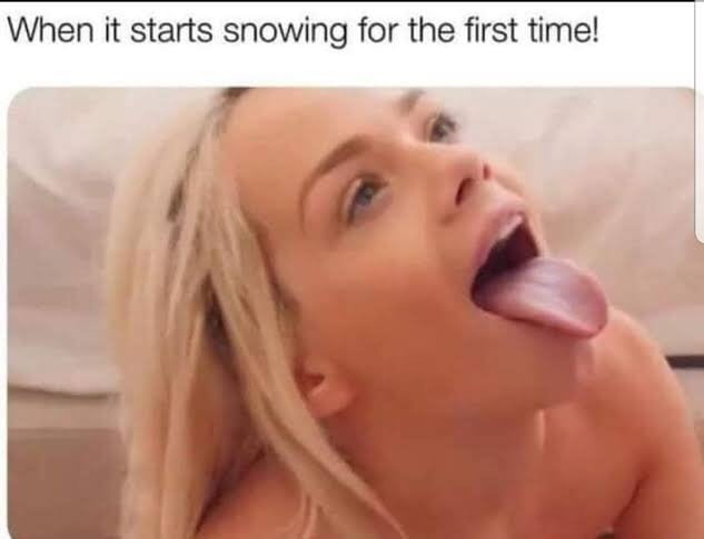 Funstuff and Memes #100989580