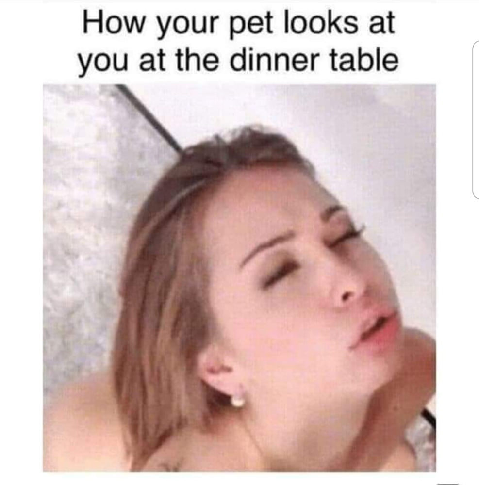 Funstuff and Memes #100989680