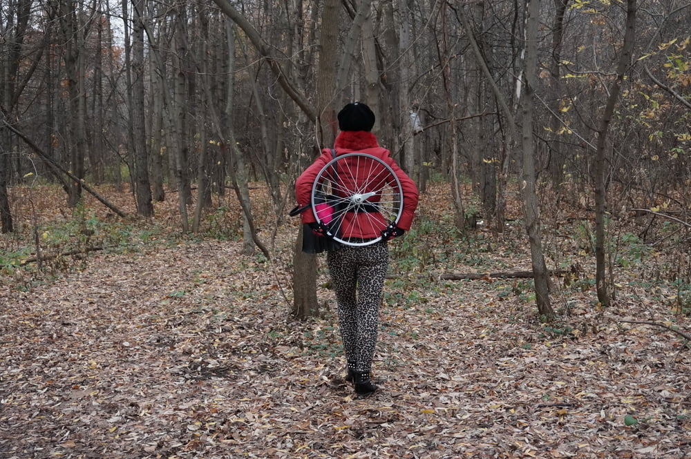 Wheel of Fortune #106830017