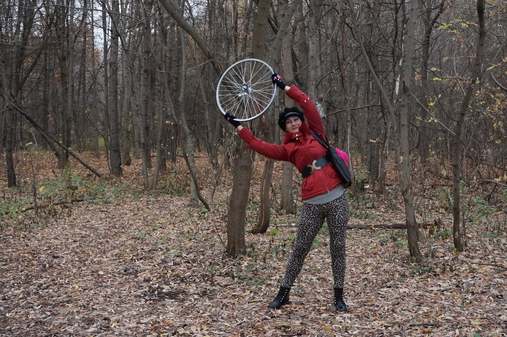 Wheel of Fortune #106830051