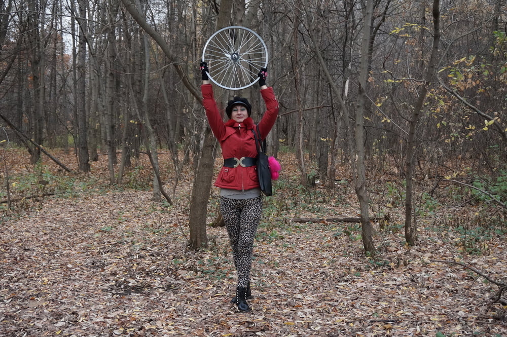 Wheel of Fortune #106830061