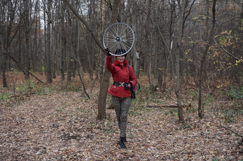 Wheel of Fortune #106830077