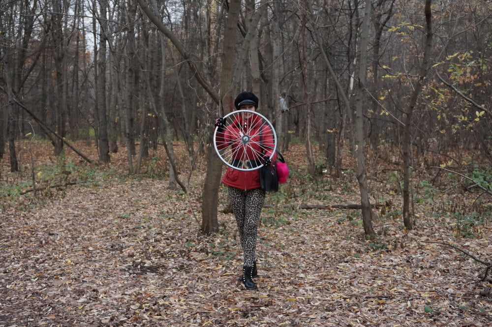 Wheel of Fortune #106830081