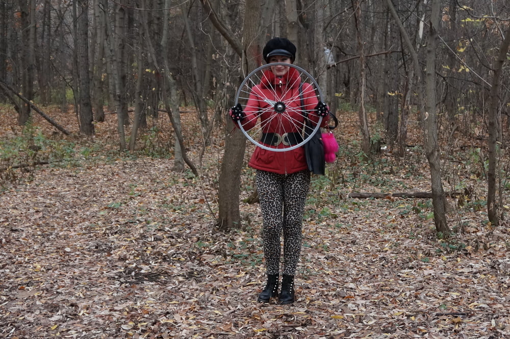 Wheel of Fortune #106830082