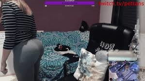 Pettans Hot Streamer #106504226