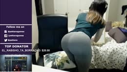 Pettans Hot Streamer #106504228