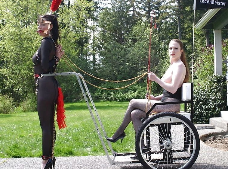 Pony Mädchen gut erzogen i
 #94481020