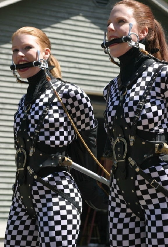 Pony Mädchen gut erzogen i
 #94481027