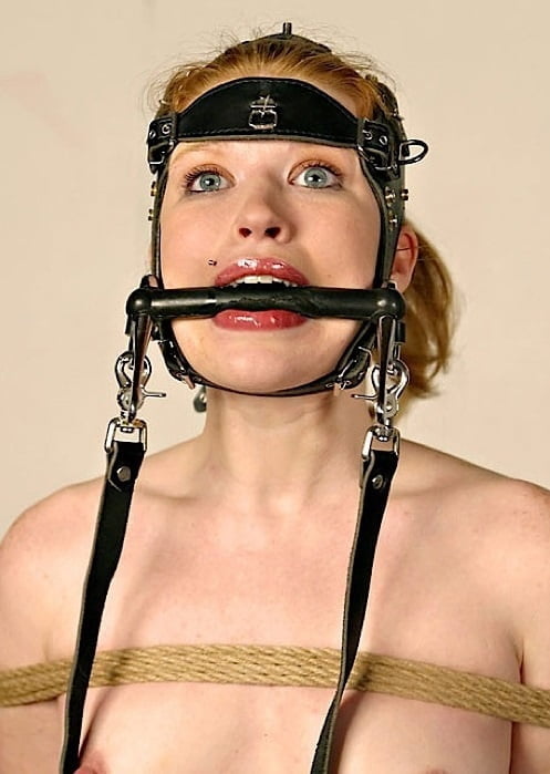 Pony Mädchen gut erzogen i
 #94481049