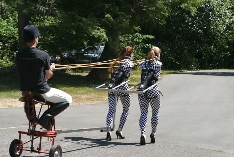 Pony Mädchen gut erzogen i
 #94481053