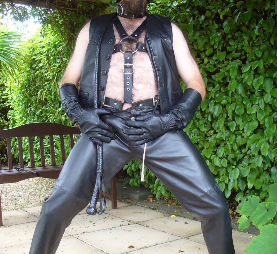 Leather Master outdoors in harness with whip #107138048