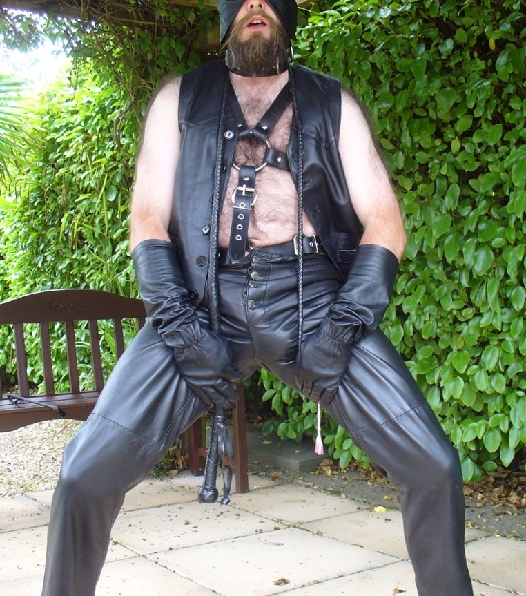 Leather Master outdoors in harness with whip #107138052