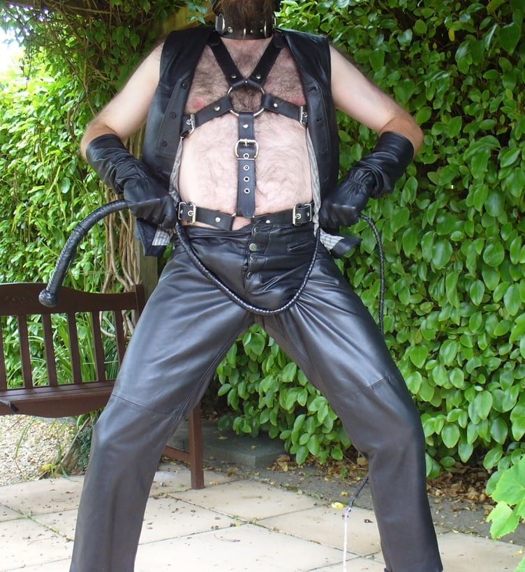 Leather Master outdoors in harness with whip #107138064