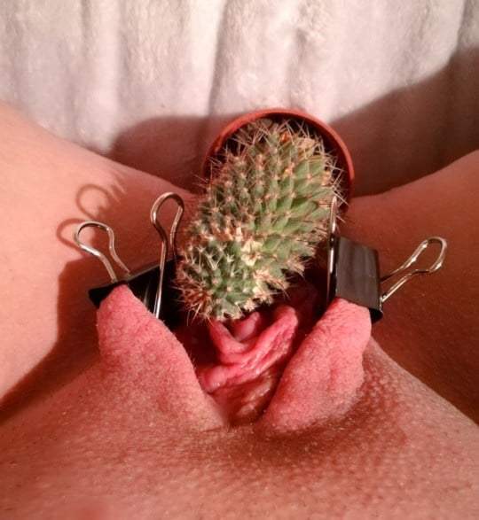 Hot Cunt &amp; Cock On Cactus Pussy Cocktus #87419094
