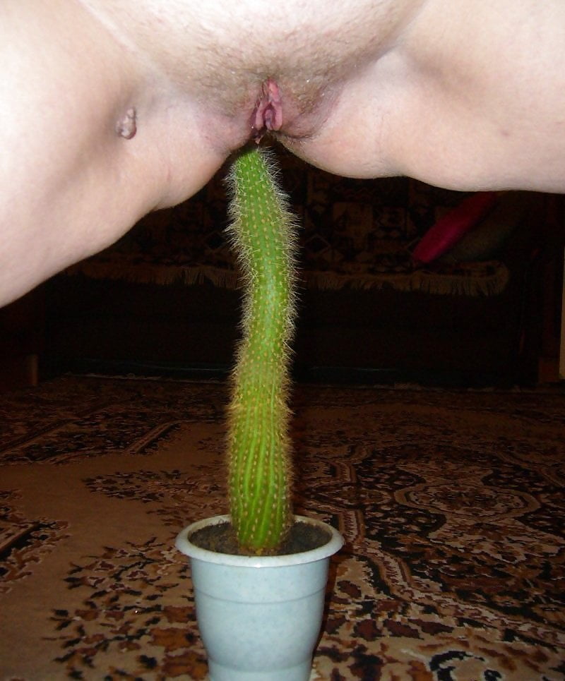Figa calda & cazzo su cactus figa cocktus
 #87419108