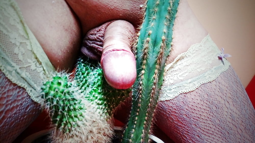 Hot Cunt &amp; Cock On Cactus Pussy Cocktus #87419134