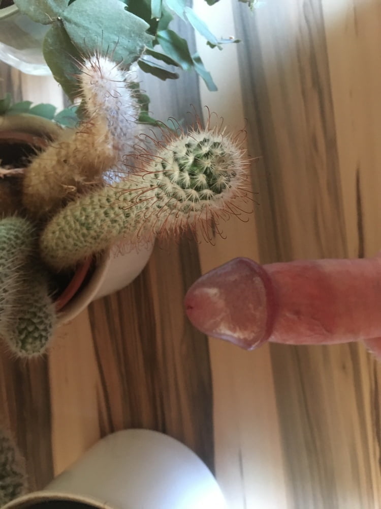 Hot Cunt &amp; Cock On Cactus Pussy Cocktus #87419140