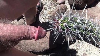 Hot Cunt &amp; Cock On Cactus Pussy Cocktus #87419143