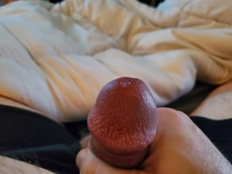 cock15 #99059437