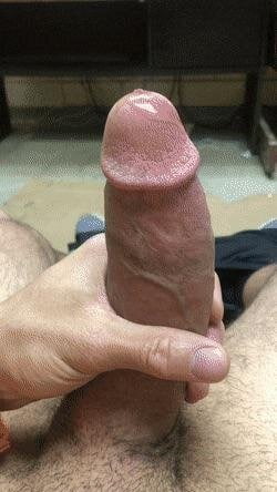 Cock15
 #99059464