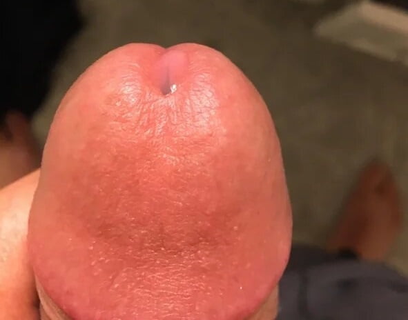 cock15 #99059529